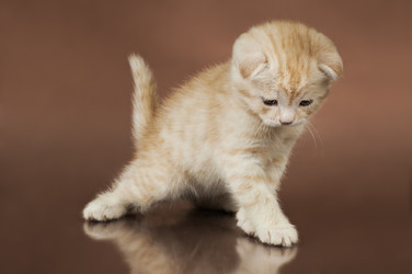 Similar image 8529950