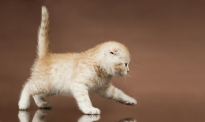 Similar image 8529951