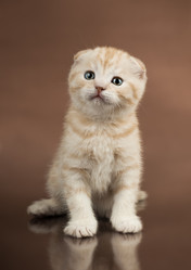 Similar image 8529952