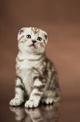 Similar image 8529953