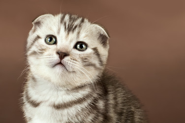 Similar image 8529958