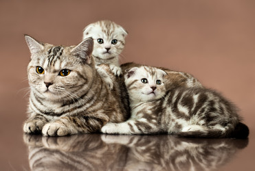 Similar image 8529964