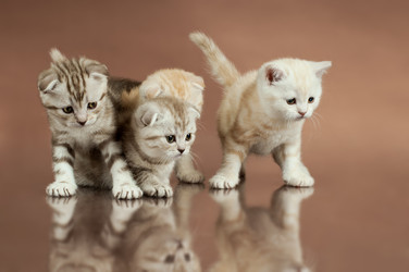 Similar image 8529971