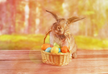 Similar image 8529986