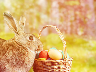 Similar image 8529992