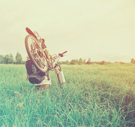 Similar image 8529994