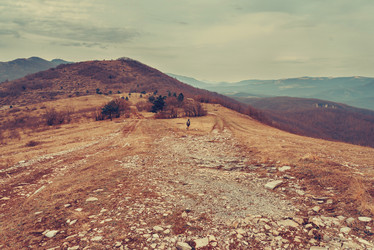 Similar image 8530044