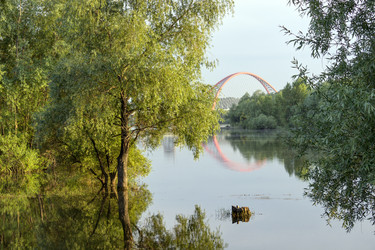 Similar image 8530082