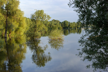 Similar image 8530083