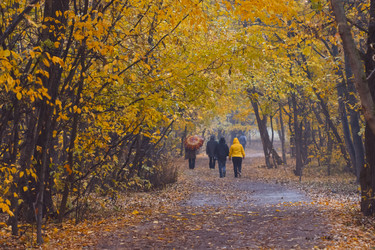 Similar image 8530089