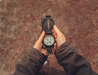 Similar image 8530331