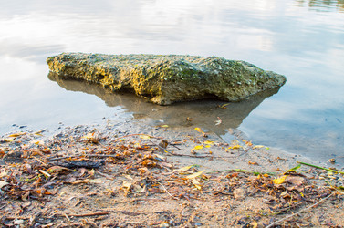 Similar image 8530440