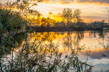 Similar image 8530461