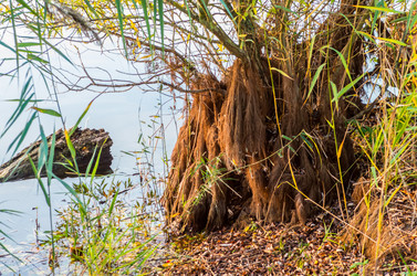 Similar image 8530464