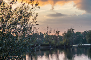 Similar image 8530466