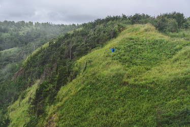 Similar image 8530539