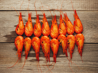 Similar image 8530557