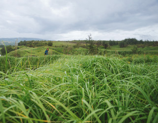 Similar image 8530576