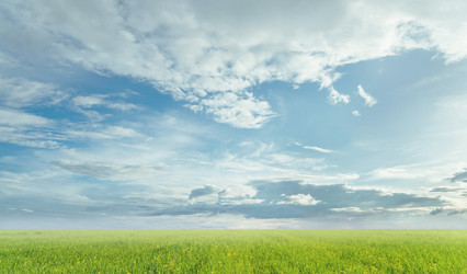 Similar image 8530588