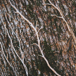 Similar image 8530637