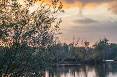 Similar image 8530647