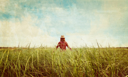 Similar image 8530667