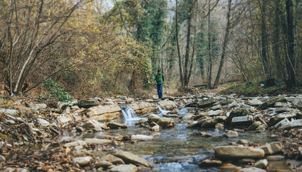 Similar image 8530670