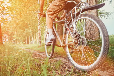 Similar image 8530718