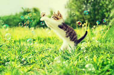 Similar image 8530749