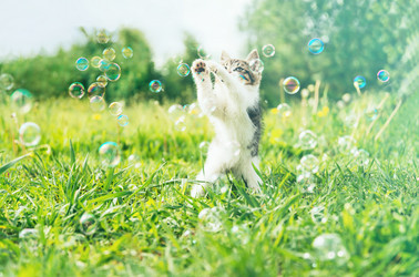 Similar image 8530763