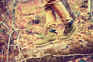 Similar image 8530859