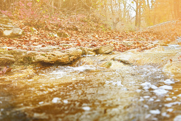 Similar image 8530893