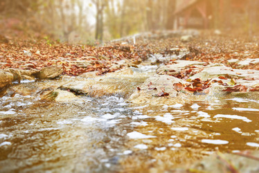 Similar image 8530943