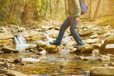 Similar image 8530954