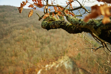 Similar image 8530958