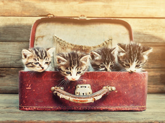 Similar image 8530994