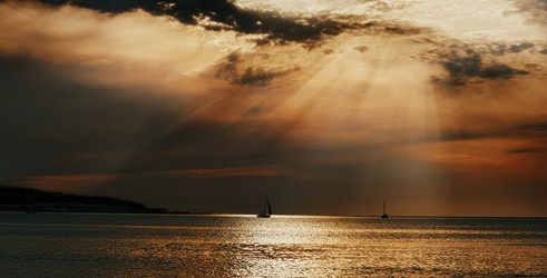 Similar image 8531004