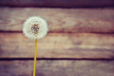 Similar image 8531007