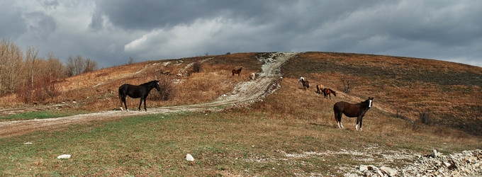 Similar image 8531018