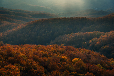 Similar image 8531024