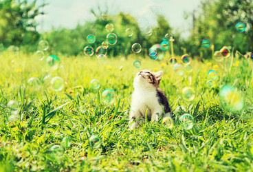 Similar image 8531039