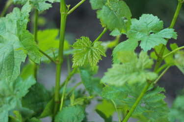 Similar image 8531084