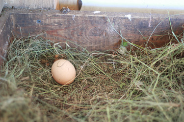 Similar image 8531086