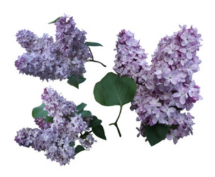 Similar image 8531096