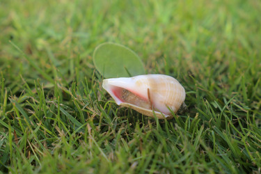 Similar image 8531106