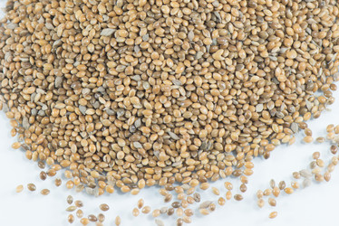 Similar image 8531191