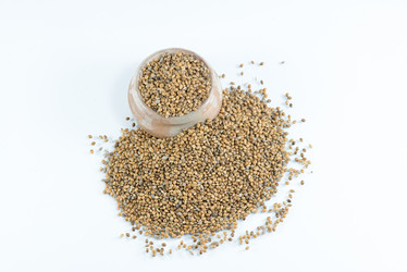 Similar image 8531193