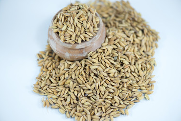 Similar image 8531268