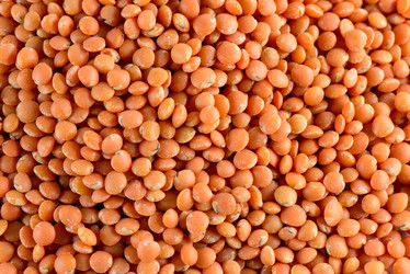 Similar image 8531273