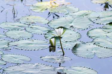 Similar image 8531286